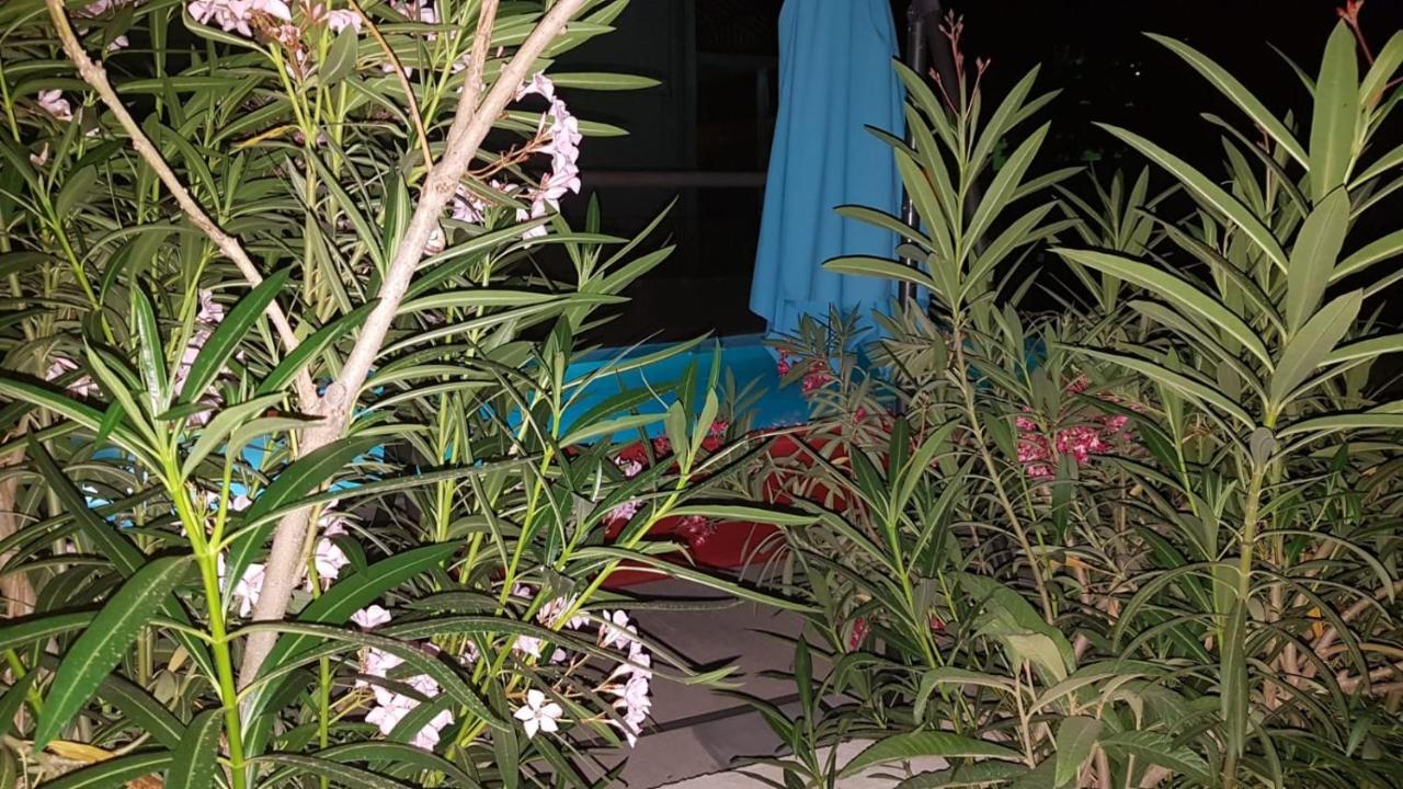 Apartments Star With Pool Biograd Na Moru Exterior photo